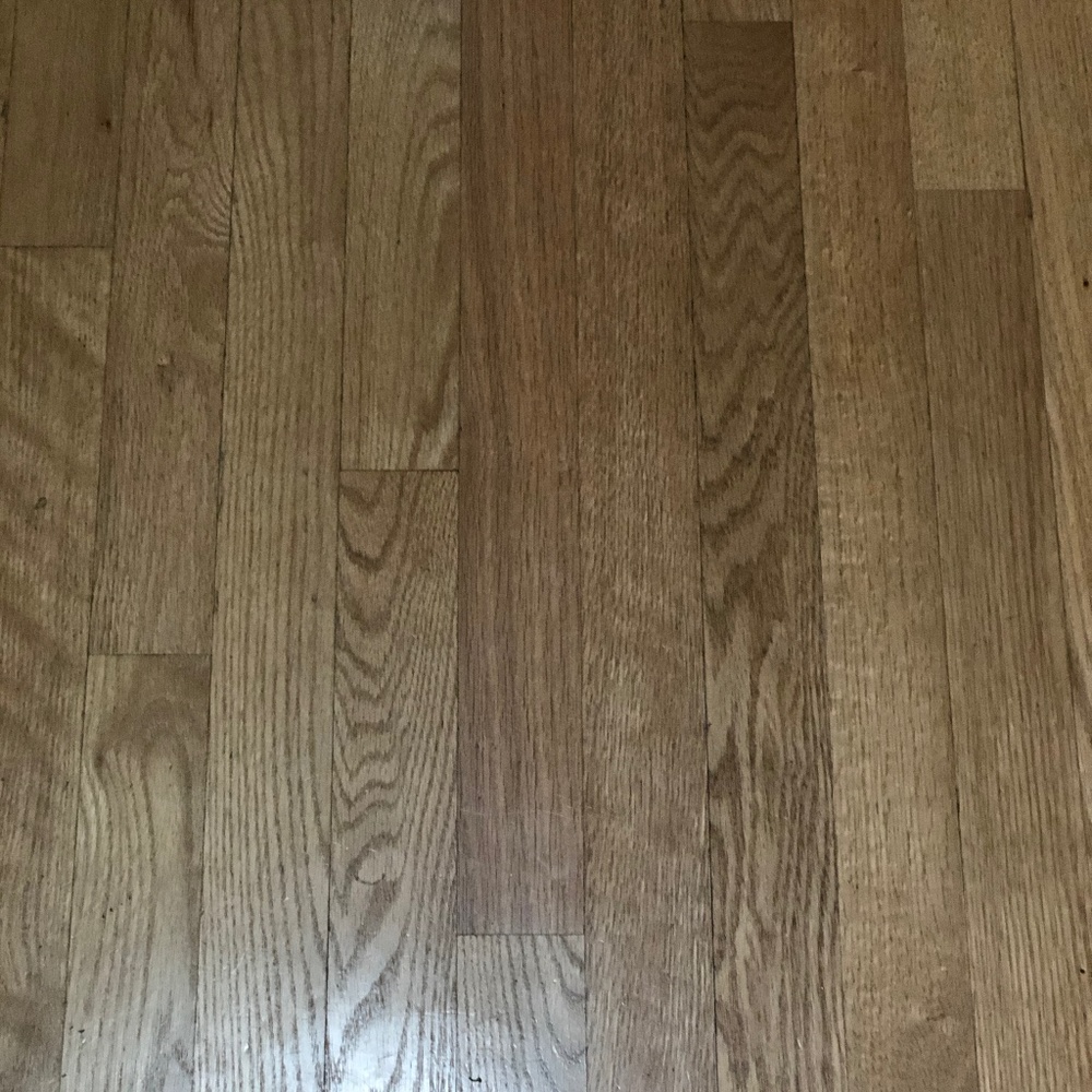 Meet your Posher, Rebekah